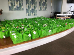 bags1.png